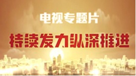 电视专题片《持续发力 纵深推进》